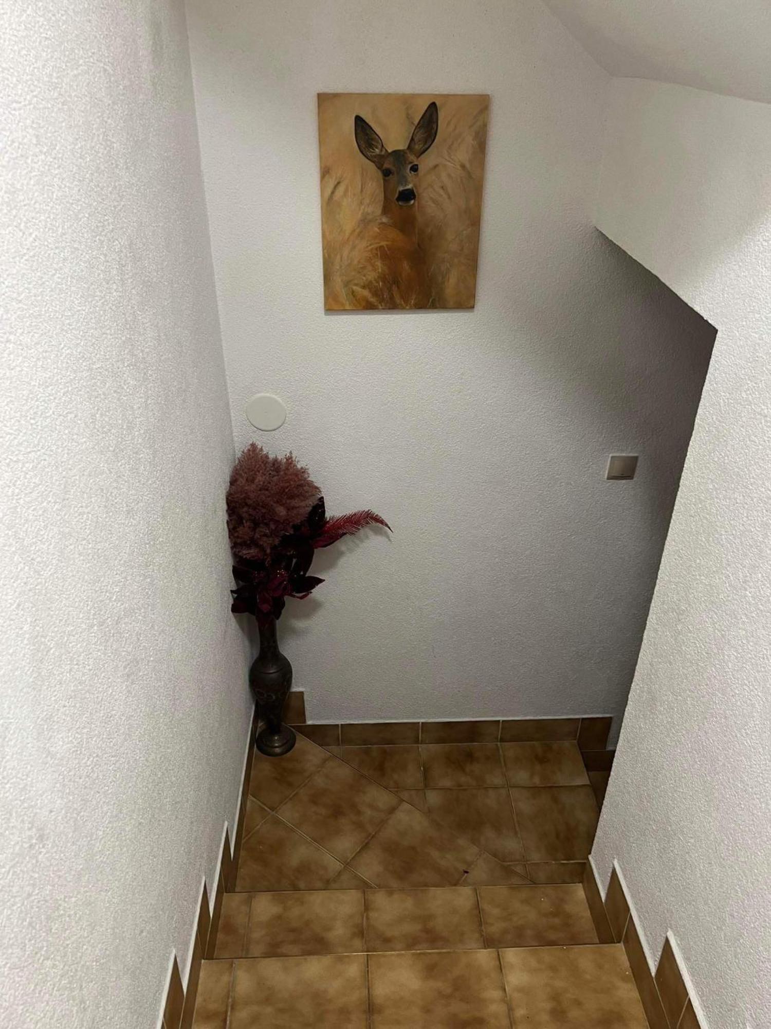 Privat Forest Liptovský Mikuláš 외부 사진
