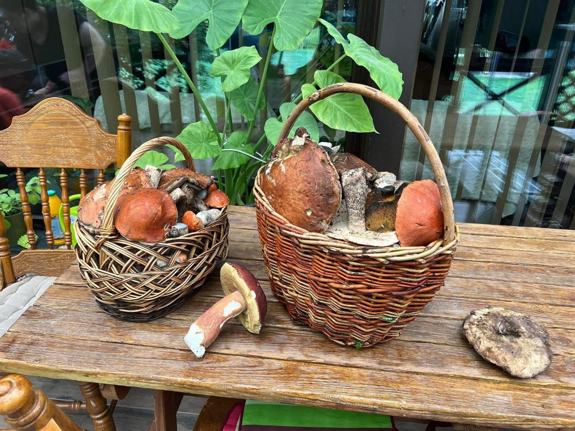 Privat Forest Liptovský Mikuláš 외부 사진